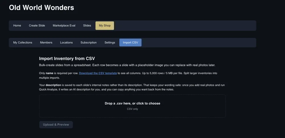 The Import Inventory from CSV screen in the Carousel Shop AI web app, showing a drop zone, a downloadable CSV template, and a note that only a name is required per row with a limit of 5,000 rows or 5 MB per file.