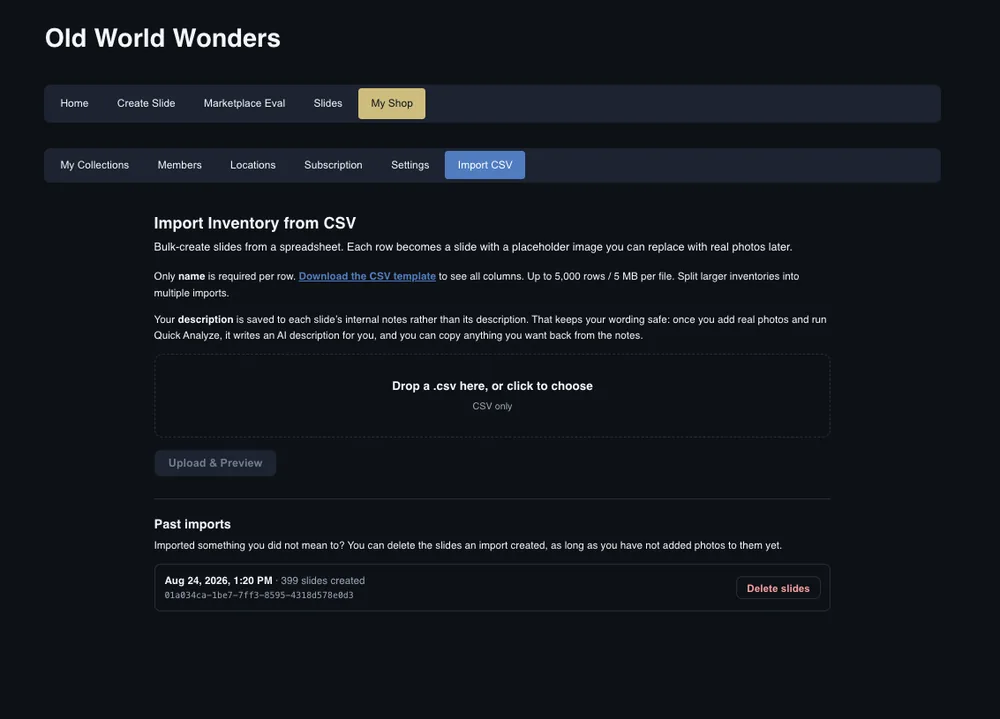 The past imports list in the Carousel Shop AI web app, showing an import of 399 slides with a Delete slides button, and a note that you can delete the slides an import created as long as you have not added photos to them yet.