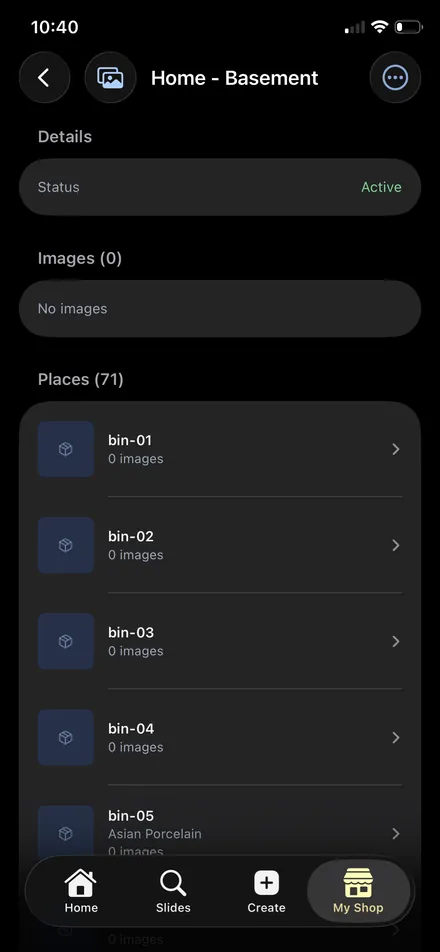 The Home Basement location in the Carousel Shop AI iPhone app, listing 71 places including bin-01 through bin-05, with bin-05 labelled Asian Porcelain.